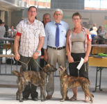 cliquez pour agrandir la photo